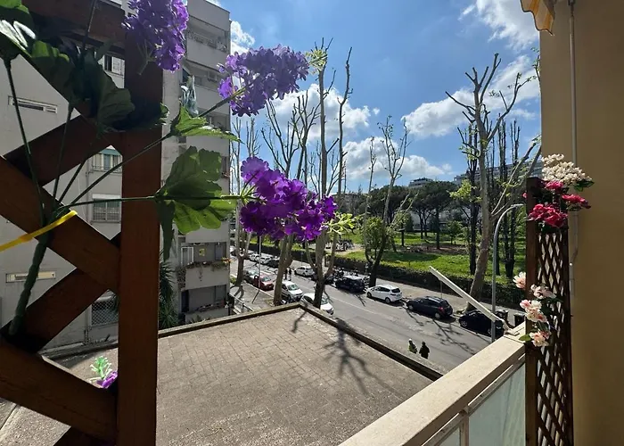 Apartment In The